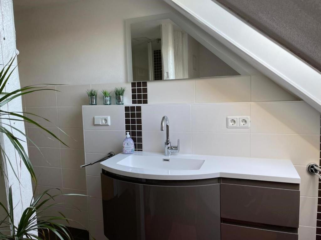 Ferienwohnung Kreft Thale Dış mekan fotoğraf